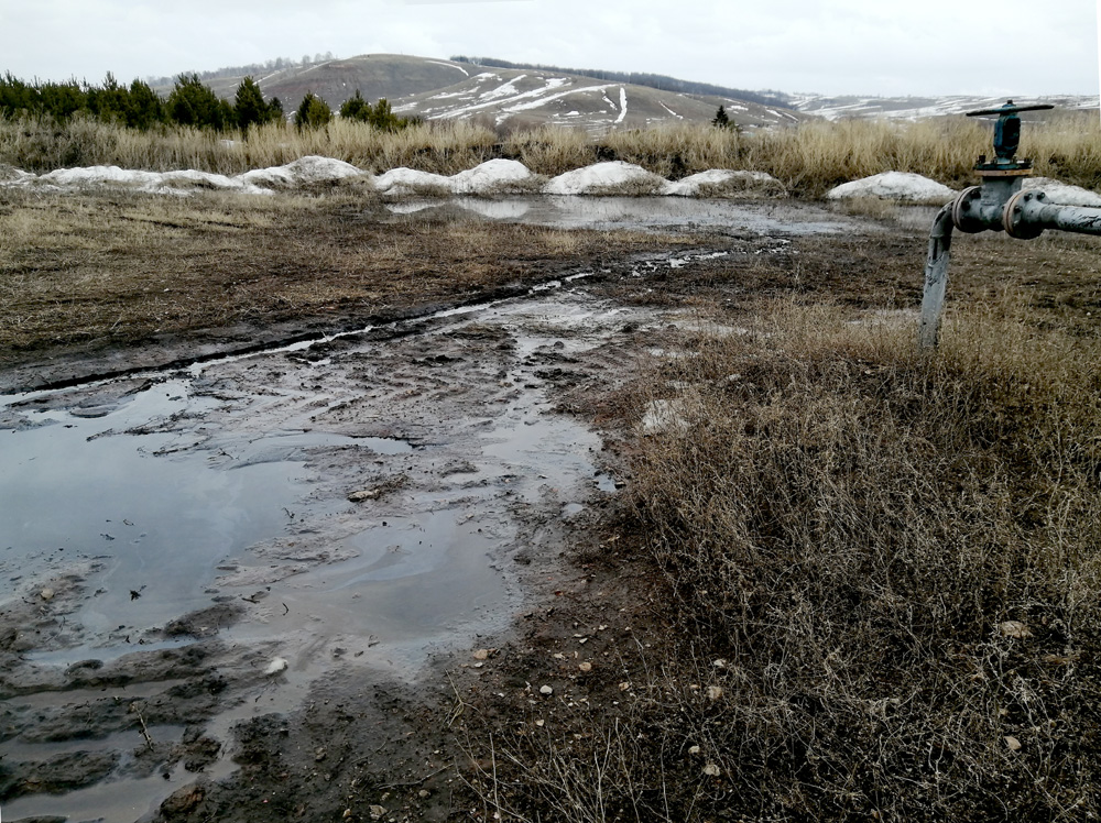 Разлив нефти в Бугульминском районе республики Татарстан