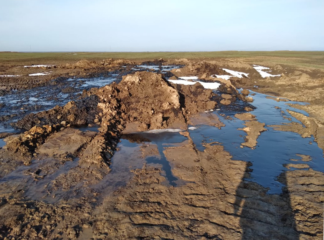 Разлив нефти в Левокумском округе Ставропольского края